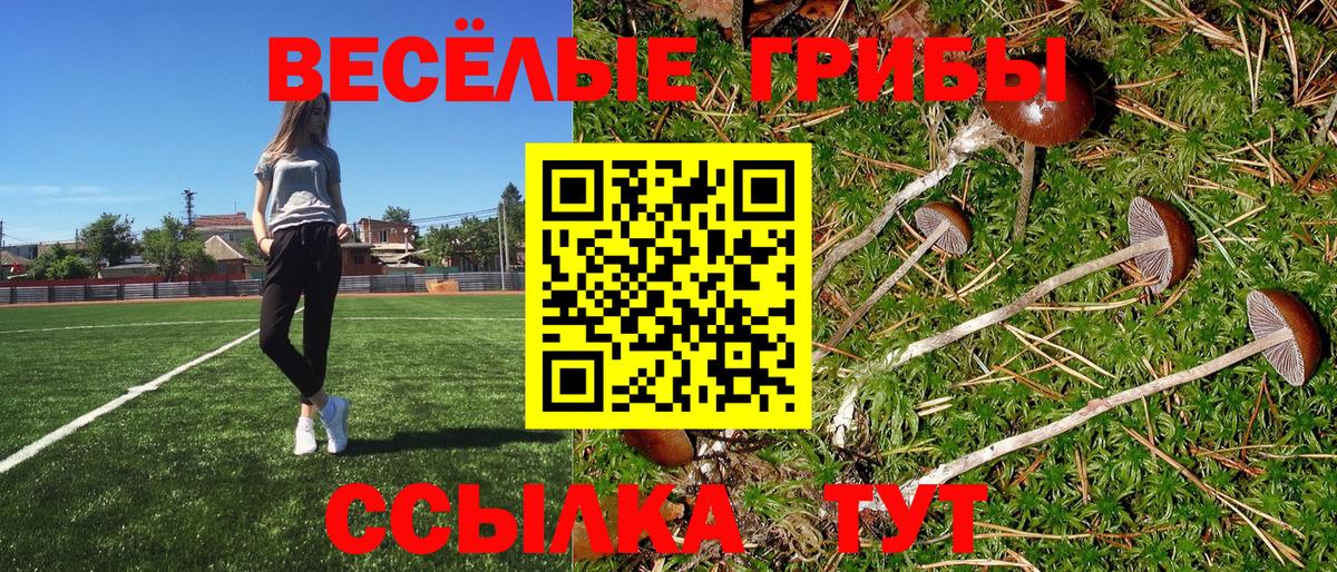 Зима  Галлюциногенные грибы мухоморы  Вход с VPN  Галлюциногенные грибы Cubensis 